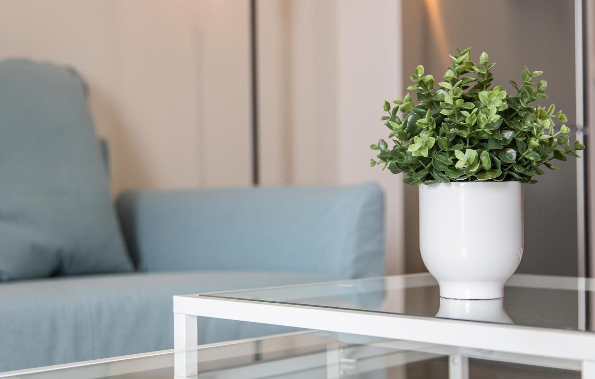 Apartoyou Premium - Apartamentos Casa Linares เอลปูแอร์โต เด ซานตามาริอา ภายนอก รูปภาพ